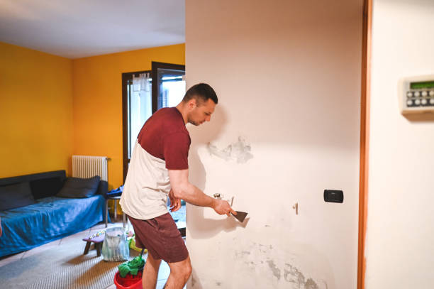 Best Mold Testing and Inspection Services in Highland Heights, KY